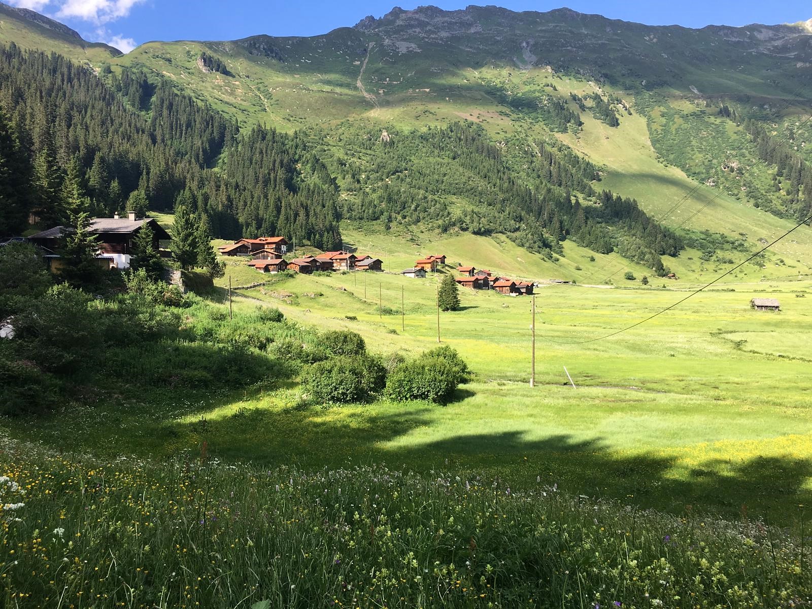 L'été dans les Alpes 2019 - Un résultat probant
