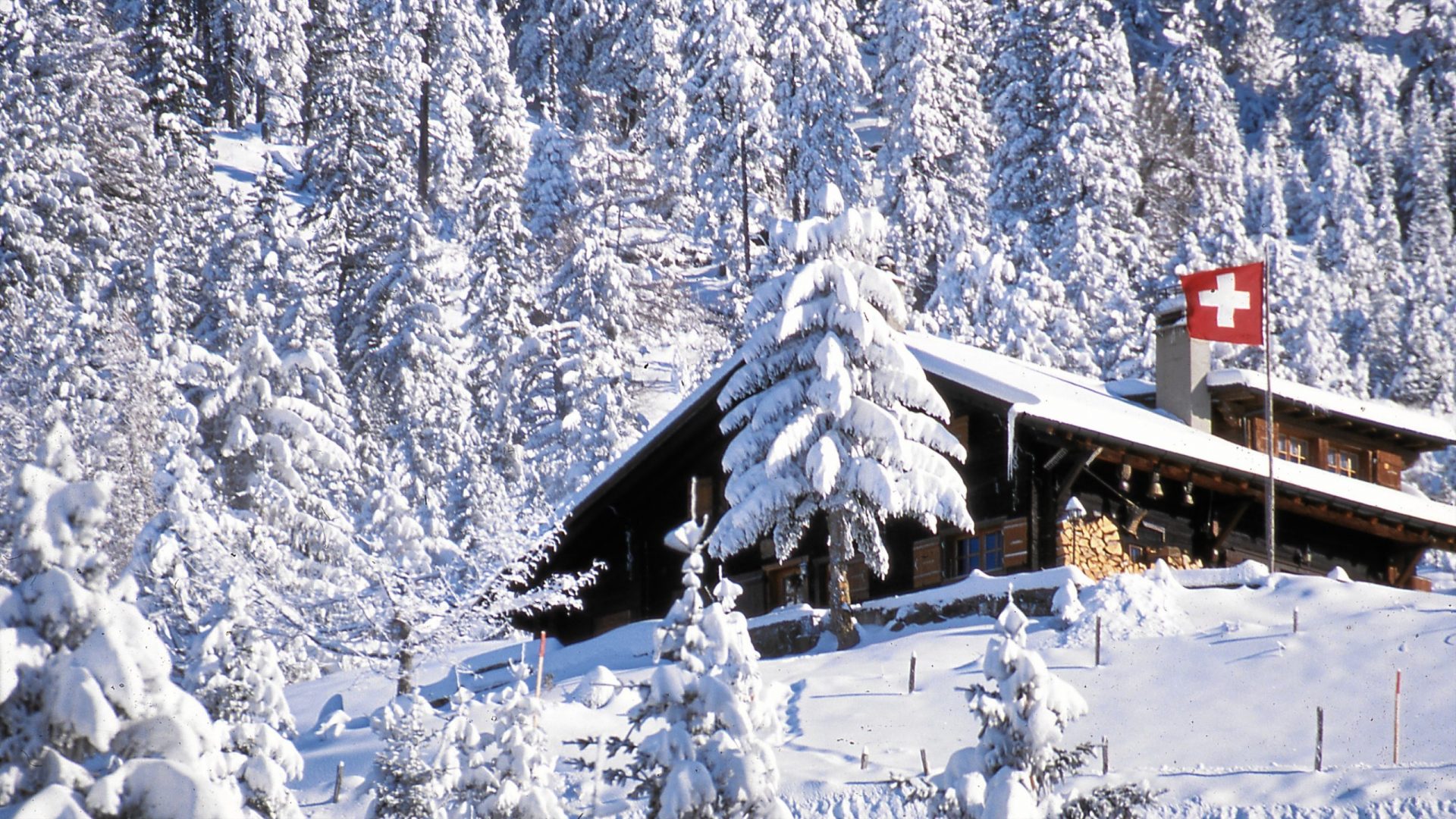 Ski Property in the Swiss Alps
