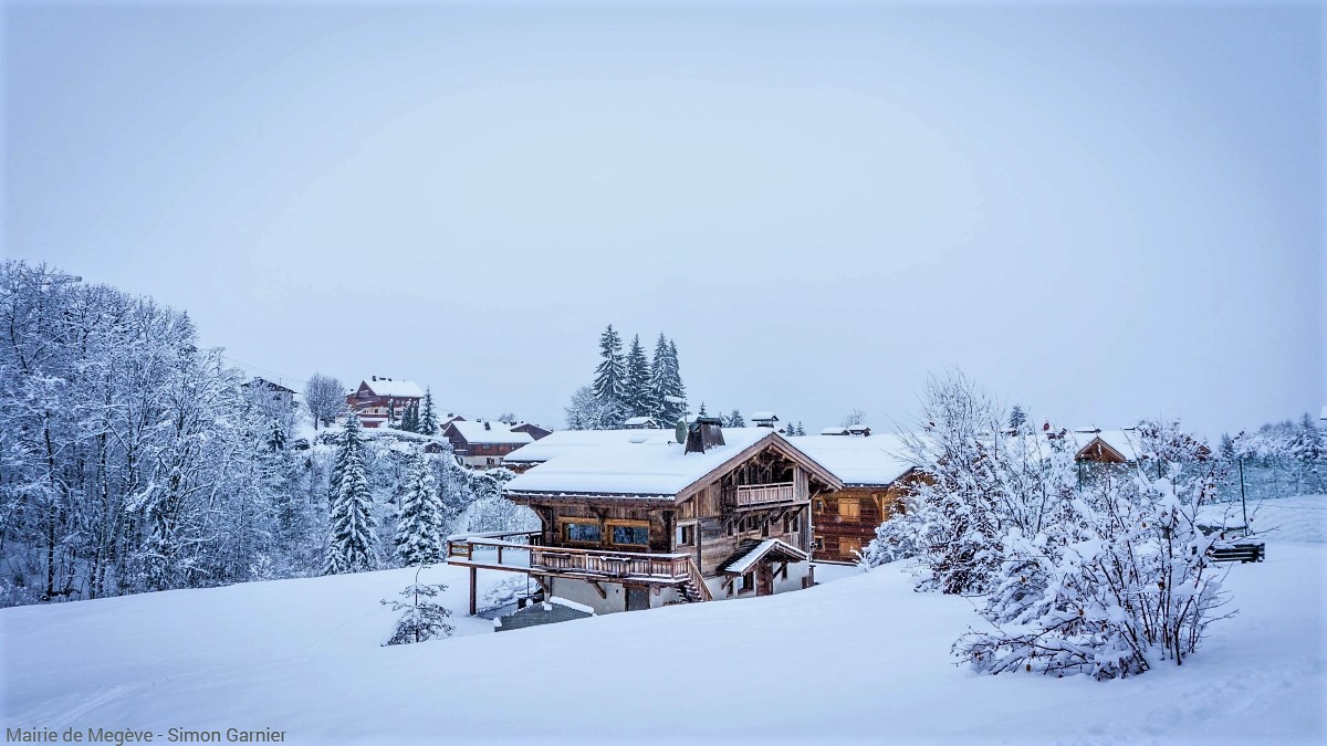 Ski Property in the French Alps